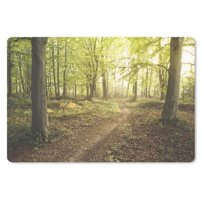 Produktbild von MuchoWow® Schreibtischunterlage Wald - Weg - Sonnenaufgang 60x40 cm - XXL Mauspad - Großes Mauspad