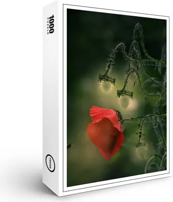 Produktbild von raxxa Premium-Puzzle "Gartenträume", 1000 Teile