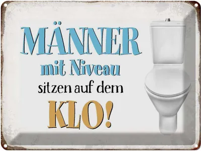 Produktbild von vianmo Blechschild 30x40 cm Männer mit Niveau sitzen auf Klo Spruch Zitat