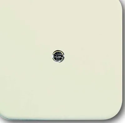 Immagine prodotto di Busch-Jaeger Piastra centrale ws VDo 2536-212 2CKA001724A0244