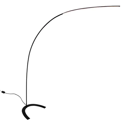Produktbild von Lindby LED-Stehleuchte Danua, schwarz, Metall, Höhe 200 cm