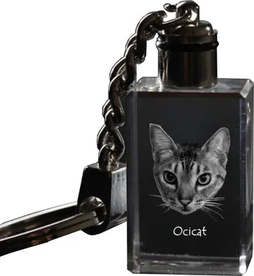 Zdjęcie produktu dla Ocicat brelok szescienny z kotem Art-Dog