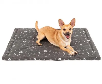 Produktbild von FIFI Hundebett 70x100x5 cm Hundekissen Hundesofa Hundematte Katzenbett Rutschfest Waschbar wasserfest Grau/Silber