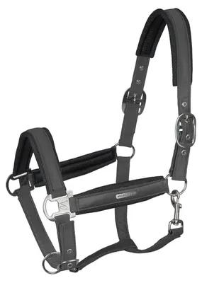 Produktbild von Waldhausen Nylonhalfter Breath Halfter Anthrazit VB