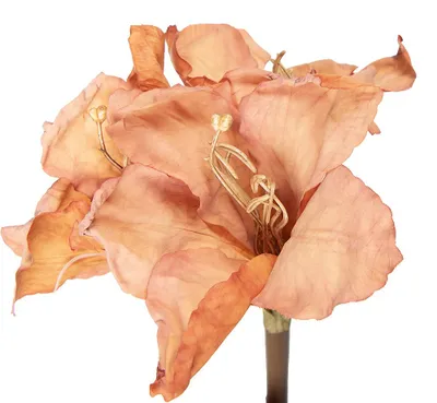 Imagen del producto de Clayre & Eef, flor artificial, 65 cm, color naranja, plástico