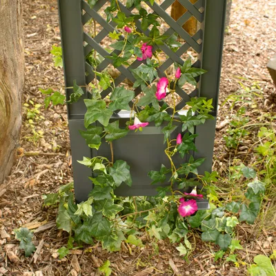 Produktbild von Spalier mit Erdspießen NYVIGreen 140x43 cm – Rankgitter aus wetterfestem & recyceltem Kunststoff, Farbe:Anthrazit