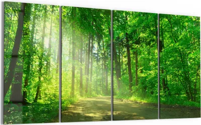 Produktbild von DEQORI Glasbild Echtglas 4x30x60 cm 'Idyllische Waldkulisse' Wandbilder XXL groß