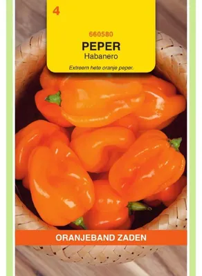 Imagen del producto de Oranjeband Pfeffer Habanero (naranja) - 1 paquete de semillas