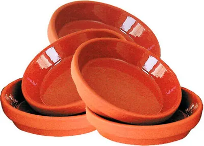 Produktbild von Terrakotta-Unterteller Innen-Ø 5-12 cm zur Auswahl Innen-Ø 7 cm, 5 Stück