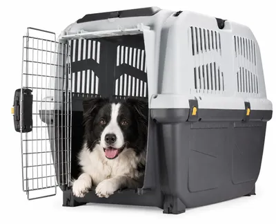 Hundetransportbox Skudo 5, groß, grau, flugtauglich