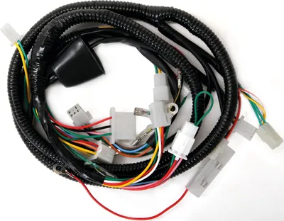 Zdjęcie produktu dla Kabelbaum Elektr. Kpl. Chinaroller Rex, Qinqgi