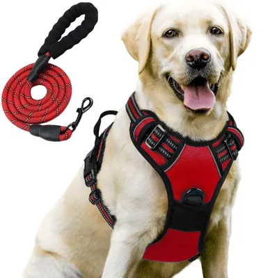 Image de Harnais Chien avec Laisse, Léger Respirant Ajustable Réfléchissant Anti Traction - Rouge XL