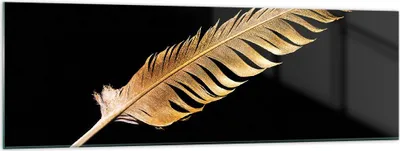 Produktbild von Bilder auf glas - Einteilig - Golden Feder Schwarz - 160x50cm - Glasbilder - Wandbilder - Bilder - zum Aufhängen bereit - Wanddekoration aus Glas - Glas Bilder - Wandbild auf Glas - GAB160x50-4887