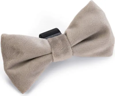 Produktbild von Designed by Lotte Fliege Zaza - Hundehalsband - Velvet - Grau - 9x5x1