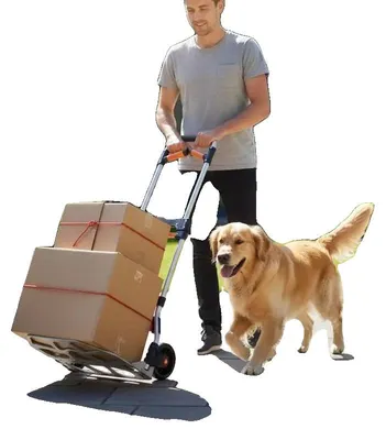 Productafbeelding van Opvouwbare handwagen, draagvermogen 140 kg, verstelbare handgreep, zilverkleurig
