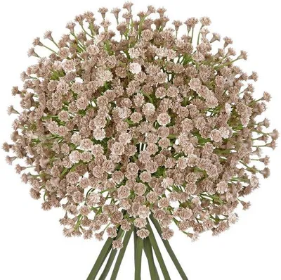 Produktbild von Geoptimalisierte Titel Unyqoos®️ Set von 10 Gypsophila Kunstblumen - Vielseitige Dekorationsanwendung - Weiß - Ideal für Hochzeiten und VeranstaltungenKorte Verkoopbeschrijving Entdecken Sie die Unyqoos®️ Set von 10 Gypsophila Kunstblumen, die perfekte Wahl für Ihre dekorativen Bedürfnisse. Diese eleganten und realistisch aussehenden Blumen sind ideal für Hochzeiten, Veranstaltungen oder als stilvolle Ergänzung für Ihr Zuhause. Diese Kunstblumen sind perfekt für verschiedene Verwendungsmöglichkeiten, sei