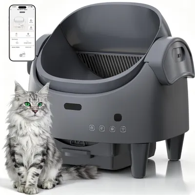 Immagine prodotto di Lettiera automatica per gatti Garvee, grande, capacità 13 litri, con design aperto e sistema di pulizia integrato