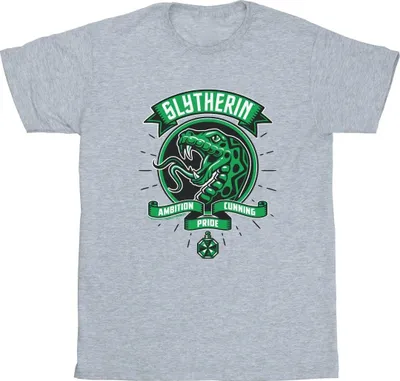 Produktbild von Harry Potter - "Slytherin" T-Shirt für Jungen BI20890 (140-146) (Grau)