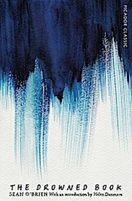 Obrázok produktu pre The Drowned Book