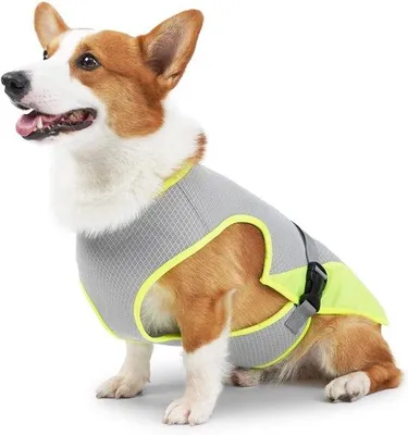 Produktbild von Famanu Kühlweste für Hunde, atmungsaktives Haustier-Eisweste mit verstellbaren Riemen für kleine, mittelgroße und große Hunde