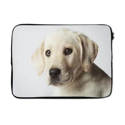 Produktbild von MuchoWow® Laptop Hülle 13 Zoll Labrador Welpe Portrait Laptoptasche - Laptophülle - Sleeve - Rundumschutz
