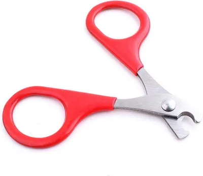 Produktbild von CHPN – Katzenschere – Schere für Schranknägel – Katzennägel – Rot – 8 cm – Nagelknipser – Nagelschere – Tiernägel – Haustiere