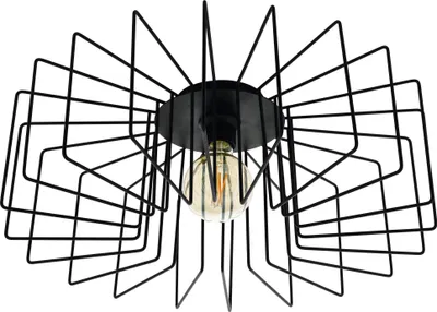 Produktbild von EGLO Deckenlampe Tremedal, 1 flammige Deckenleuchte aus Stahl, Wohnzimmerlampe in Schwarz, Küchenlampe, Flurlampe Decke mit E27 Fassung