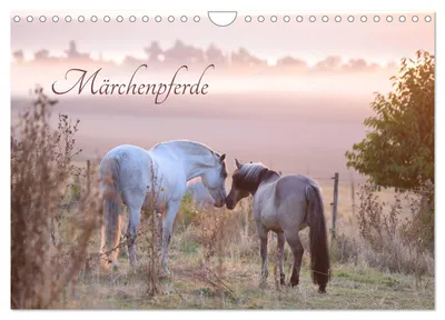 Produktbild von Märchenpferde (Wandkalender 2027 DIN A4 quer), CALVENDO Monatskalender