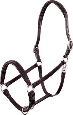 Immagine prodotto di Premiere Florennes Halfter Nero Cob Nero Cob