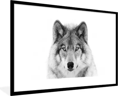Produktbild von MuchoWow® Gerahmtes Poster Wolf - Tiere - Porträt - Weiß 90x60 cm - Poster mit Schwarzem Bilderrahmen Wandposter Rahmen Foto Bilder - Wanddekoration - Fotos