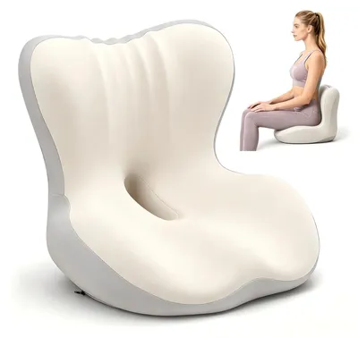 Image de Coussin de siège ergonomique avec dossier