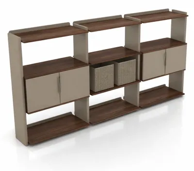 Image de Bibliothèque design, salon, moderne, modulaire, bois, beige, système