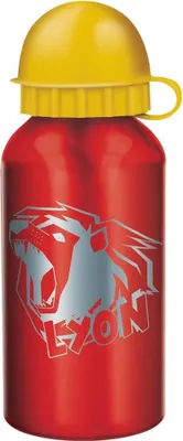 Imagen del producto de WGF LYON, botella de agua, aluminio, 500 ml