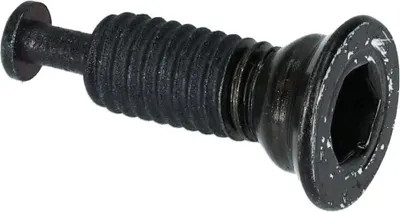 Image de Vis de fixation SHIMANO pour étrier de frein BR-RS505 B - 2 g, pour étrier BR-RS505...