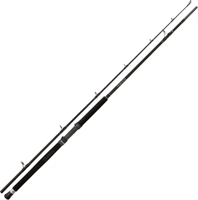 Produktbild von Black Cat Buster 3m 300-500g Wallerrute