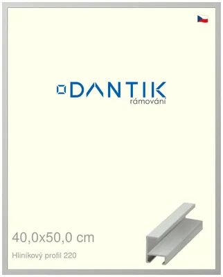 Zdjęcie produktu dla Rama DANTIK 40x50 | Profil ALU 6220 Srebrny mat (Plexi Clear)