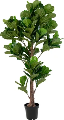 Image de Violinfigen plante artificielle H190 cm verte.