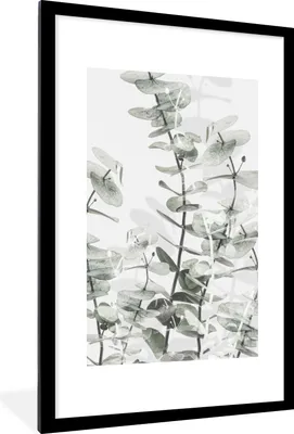 Produktbild von MuchoWow® Gerahmtes Poster Pflanzen - Natur - Grün - Blumen 60x90 cm - Poster mit Schwarzem Bilderrahmen Wandposter Rahmen Foto Bilder - Dekoration - Wandposter Wohnzimmer - Hochwertig