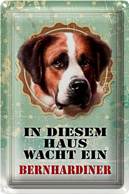 Produktbild von Blechschild Hund 20x30cm in diesem Haus wacht Bernhardiner