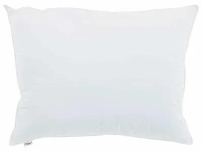 Productafbeelding van Kussen 40 x 60 cm van Katoen met Bamboevulling