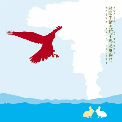 Immagine prodotto di Stevens,Sufjan-Goditi il tuo coniglio