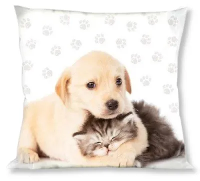 Produktbild von Kissenbezug, 100% Baumwolle, Kinderkissenbezug 40x40cm Hund und Katze