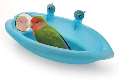 Image de Bain d'oiseaux en forme de cage avec miroir et accessoires