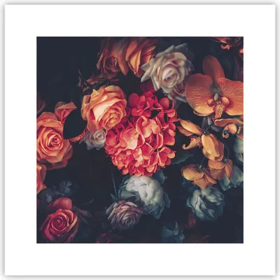 Produktbild von Poster - Poster ohne Rahmen - Blumenstrauß Blumen Rosen - 30x30 cm - Wand Bild - Wanddeko - Wandbilder - Kunstposter - Wandposter - Bilder - Kunstdruck - Wanddekoration - Wandbild - P2XAC30x30-5002