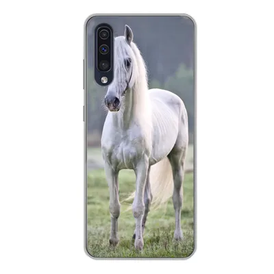 Produktbild von MuchoWow® Handyhülle Schutzhülle Hülle für Samsung Galaxy A50 Pferd - Licht - Morgen Silikon Softcase Handy Hülle - Mobiltelefonhülle