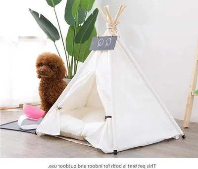Produktbild von Famanu Teepee Hundezelt mit Zebra-Muster - Abnehmbar und waschbar - Katzenzelt - Hundebett Spielhaus mit Kissen - 40x40x50cm