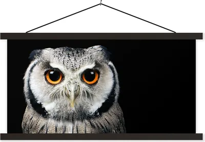 Produktbild von MuchoWow® Textilposter Nahaufnahme Eule 60x30 cm mit schwarzem Rahmen - Textilien