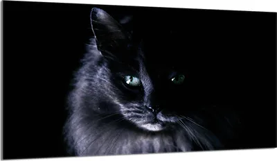 Produktbild von Herdabdeckplatte 90x52 Glaskeramikkochfeld Abdeckung Spritzschutz Glasplatte Deko Schneidebrett, Katze Schwarz