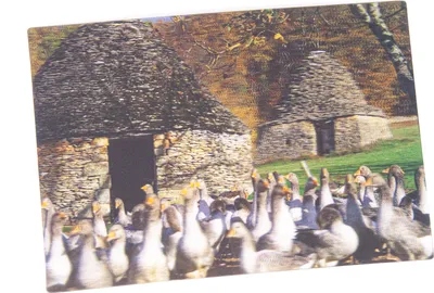 Produktbild von 3D Postkarte Gänse