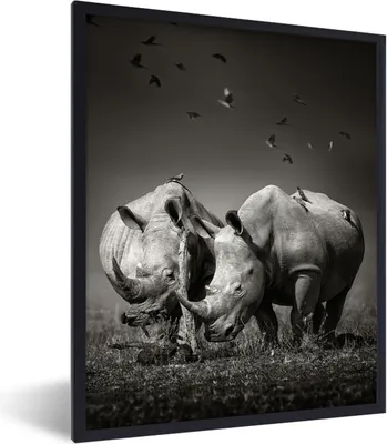 Produktbild von MuchoWow® Gerahmtes Poster Nashorn - Vogel - Tiere - Landschaft - Schwarz und weiß 30x40 cm - Poster mit Schwarzem Bilderrahmen Wandposter Rahmen Foto Bilder - Wanddeko - Kunstdrucke